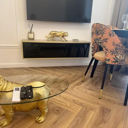 Cavalli * Вроцлав